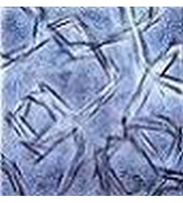 Vegetazione irreale 65